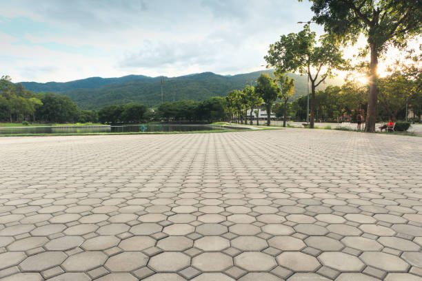 Best Driveway Repair Near Me  in Skokie, IL